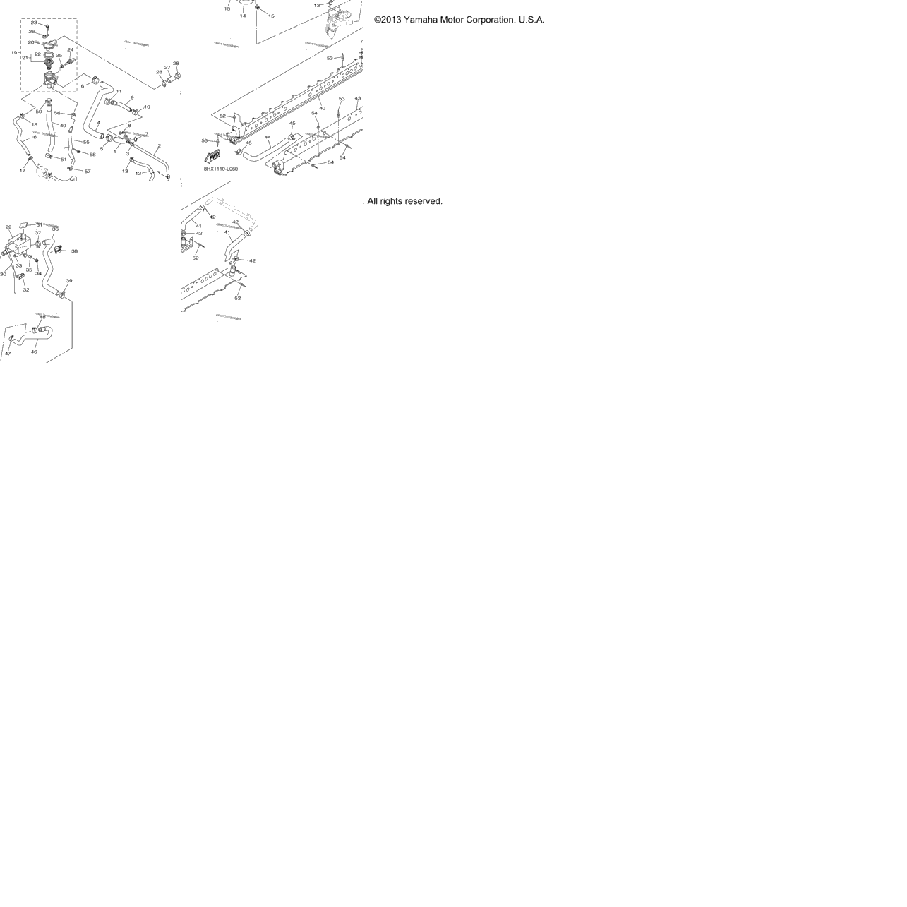 Radiator Hose