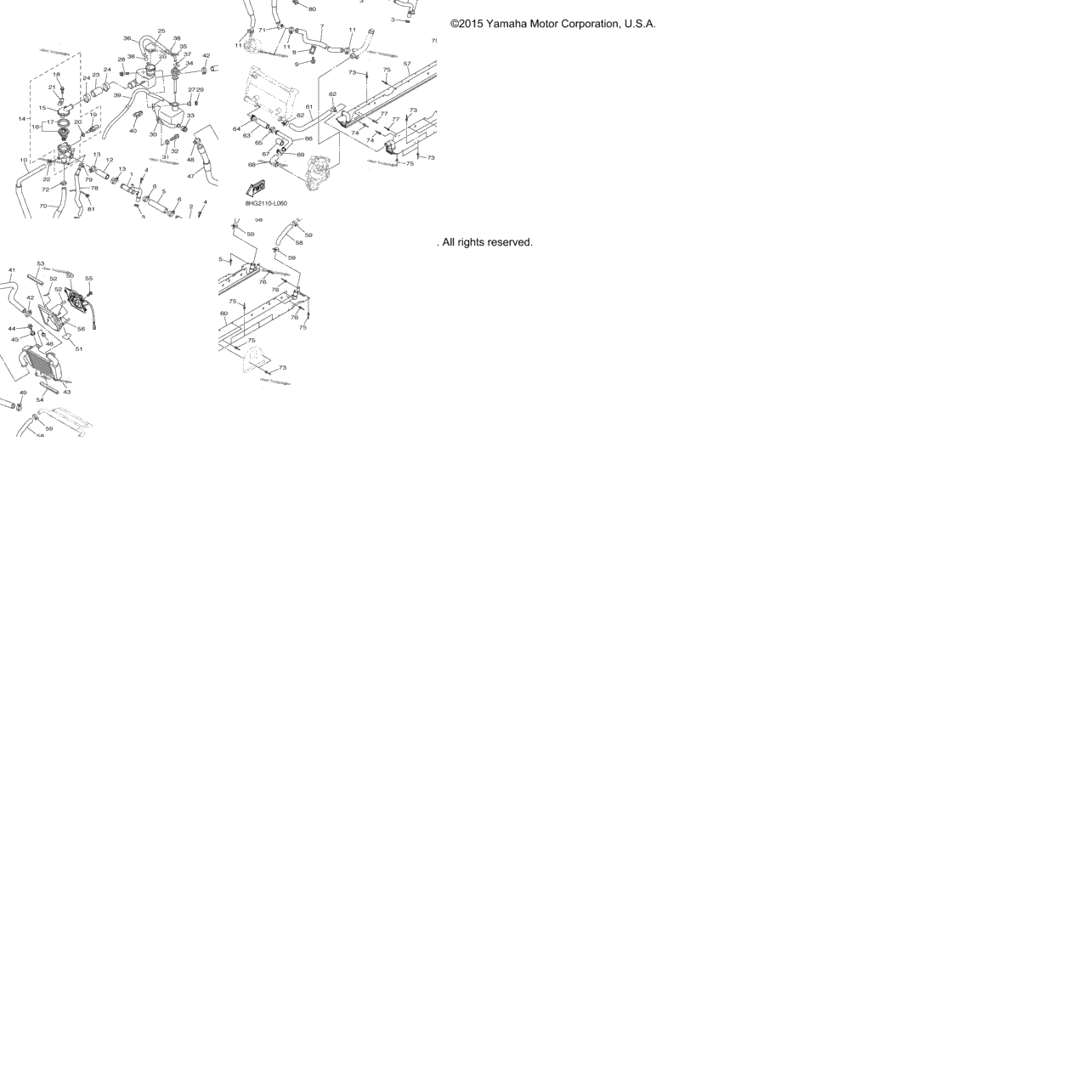 Radiator Hose