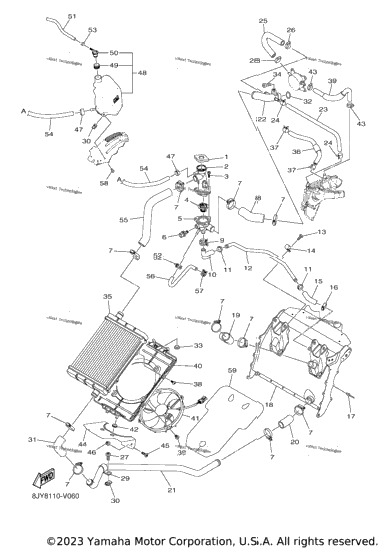 Radiator & Hose