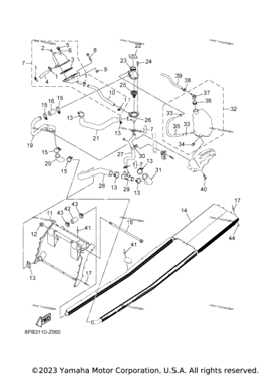 Radiator & Hose