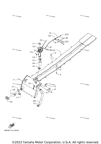Radiator & Hose