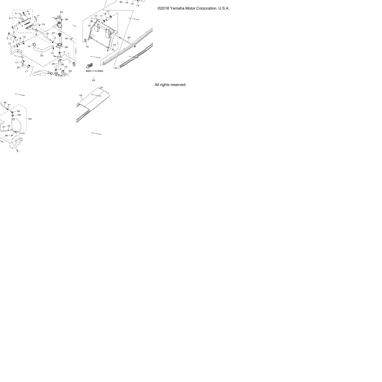 Radiator Hose