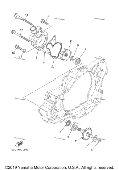 Water Pump