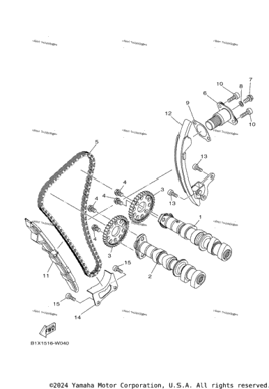 Camshaft & Chain