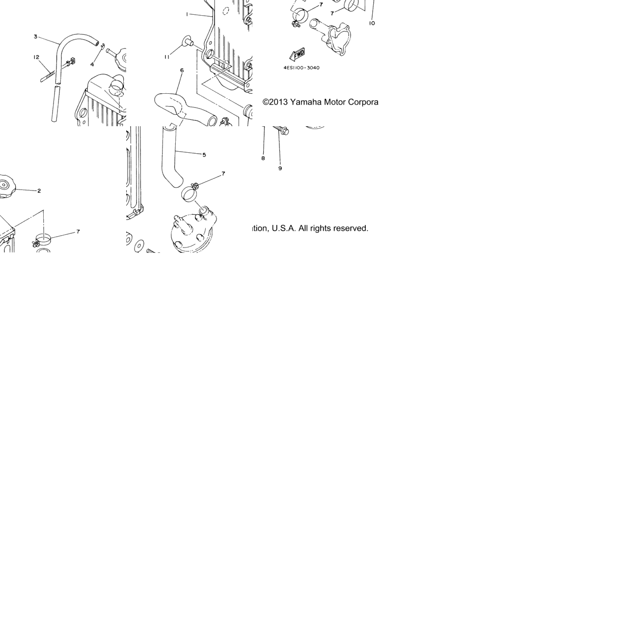 Radiator Hose