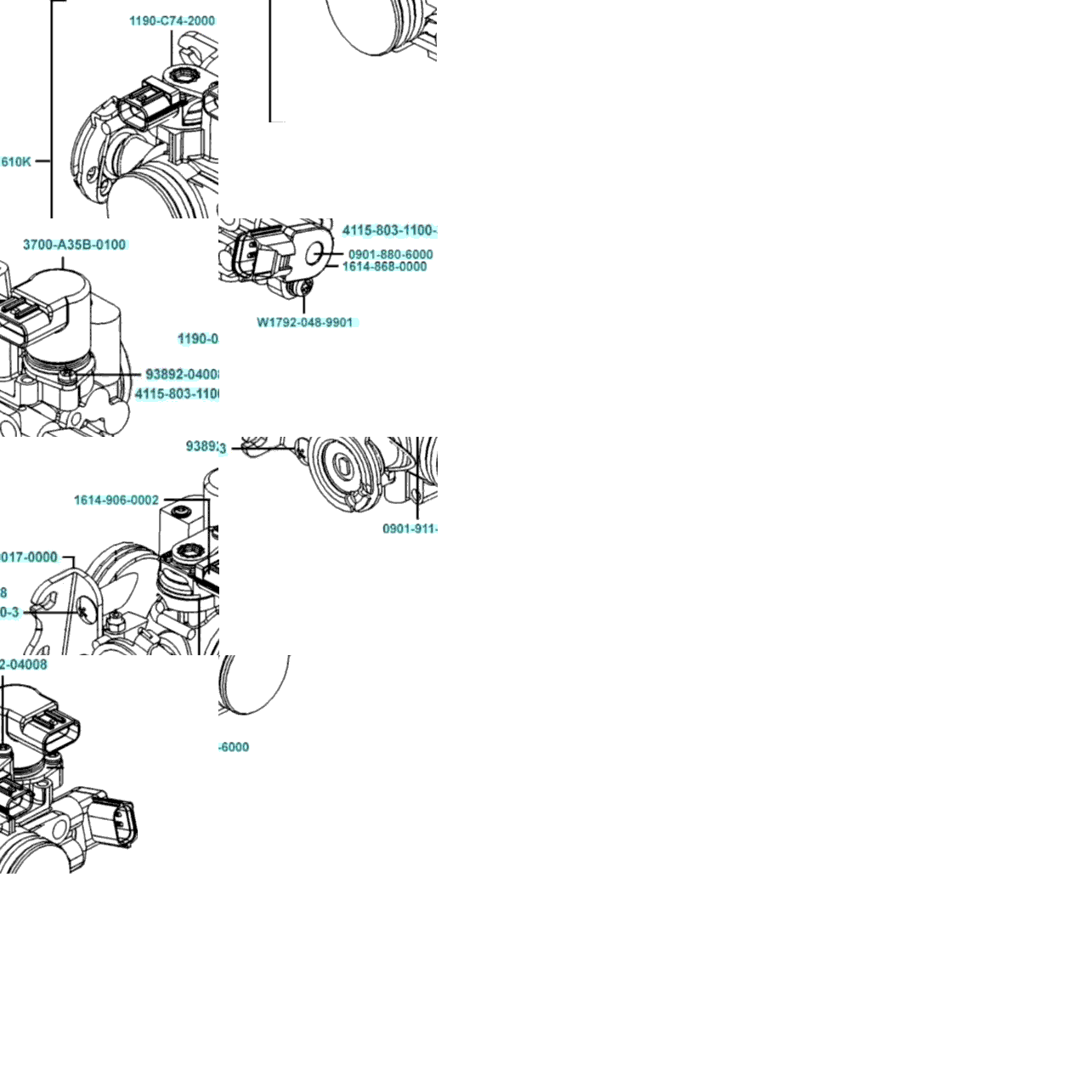 Throttle Body Assy