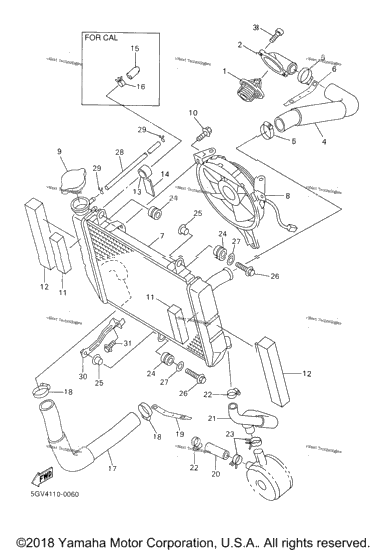 Radiator Hose