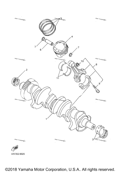 Crankshaft Piston