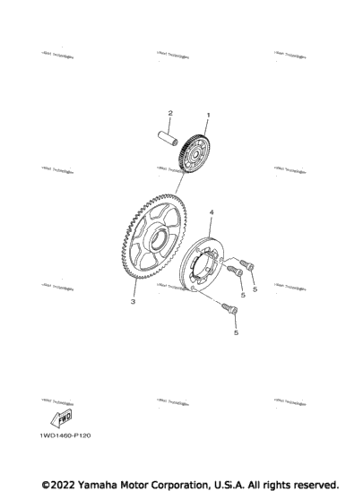 Starter Clutch