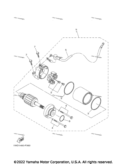 Starting Motor