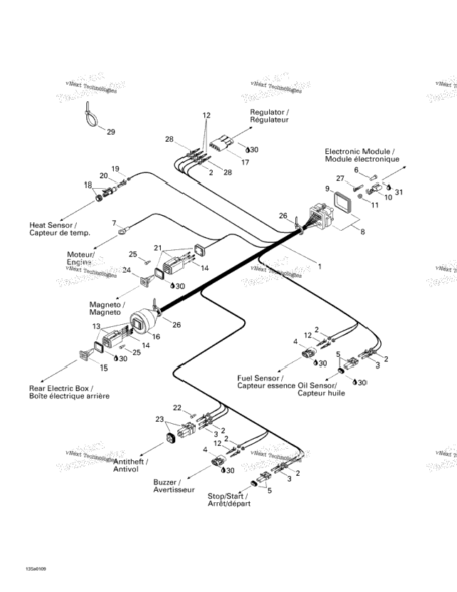 Electrical Harness