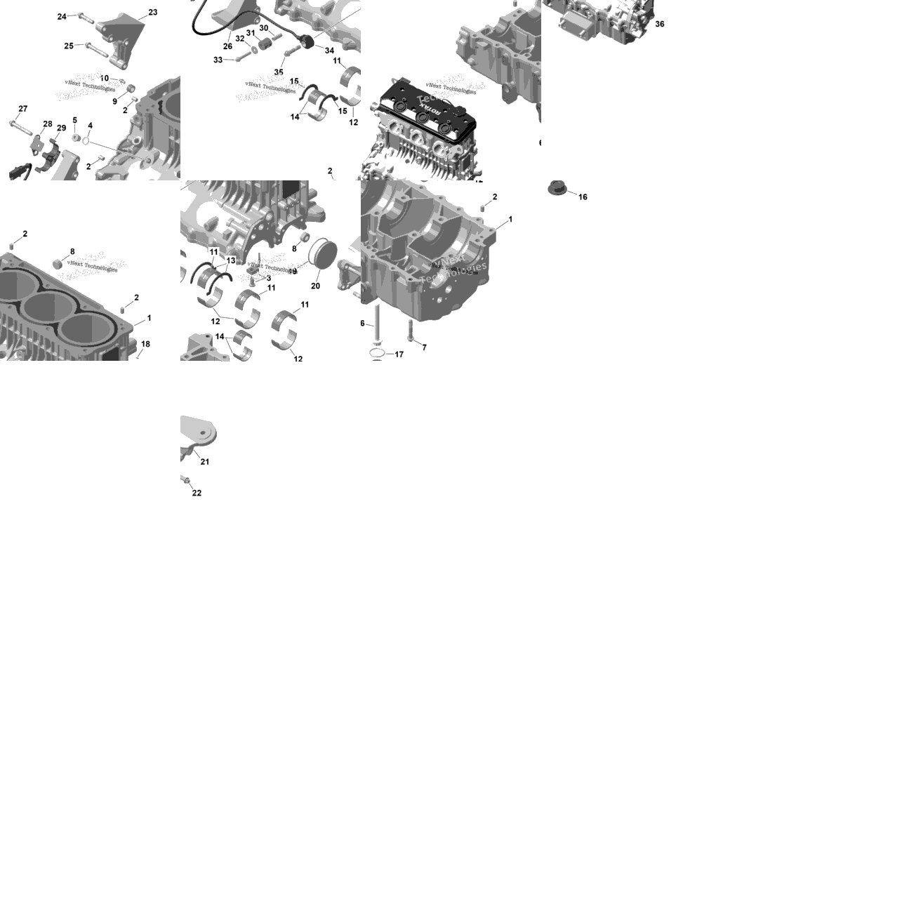 Rotax - Crankcase