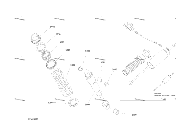 Suspension, Rear - Shocks - Sport