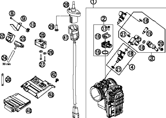 Throttle Body