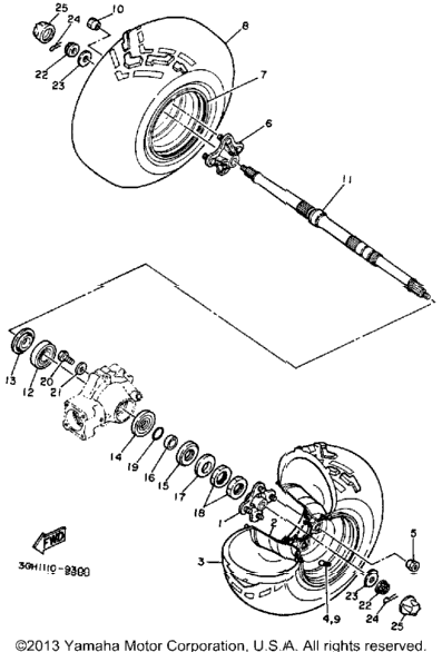 Rear Wheel