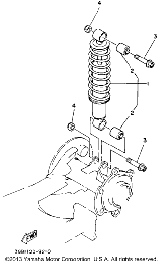 Rear Shocks