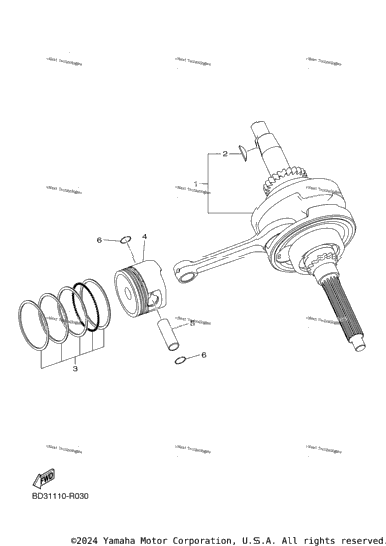 Crankshaft & Piston