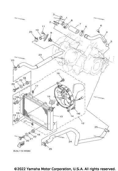 Radiator & Hose
