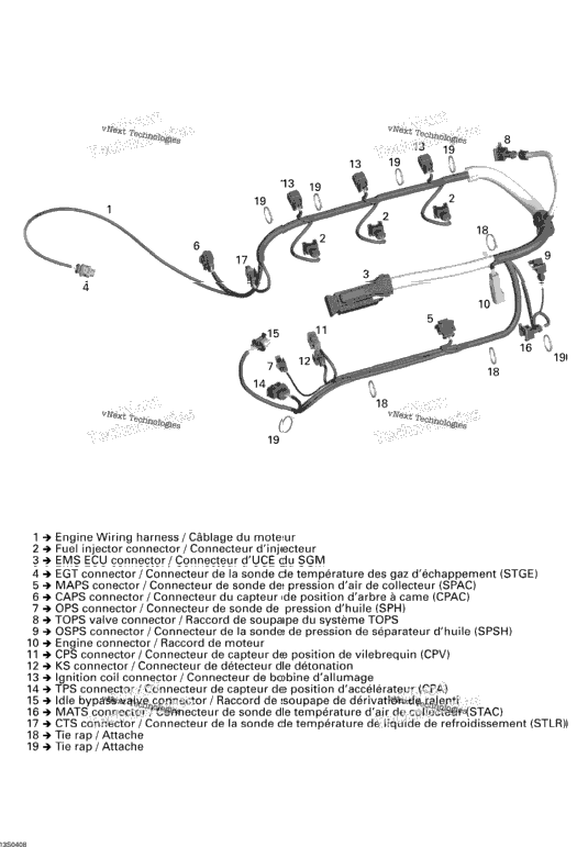 Engine Wiring Harness