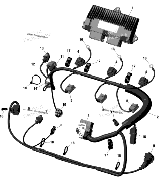Engine Harness And Electronic Module