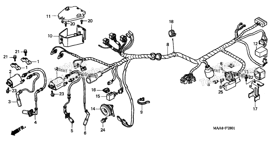 Wire Harness (2)