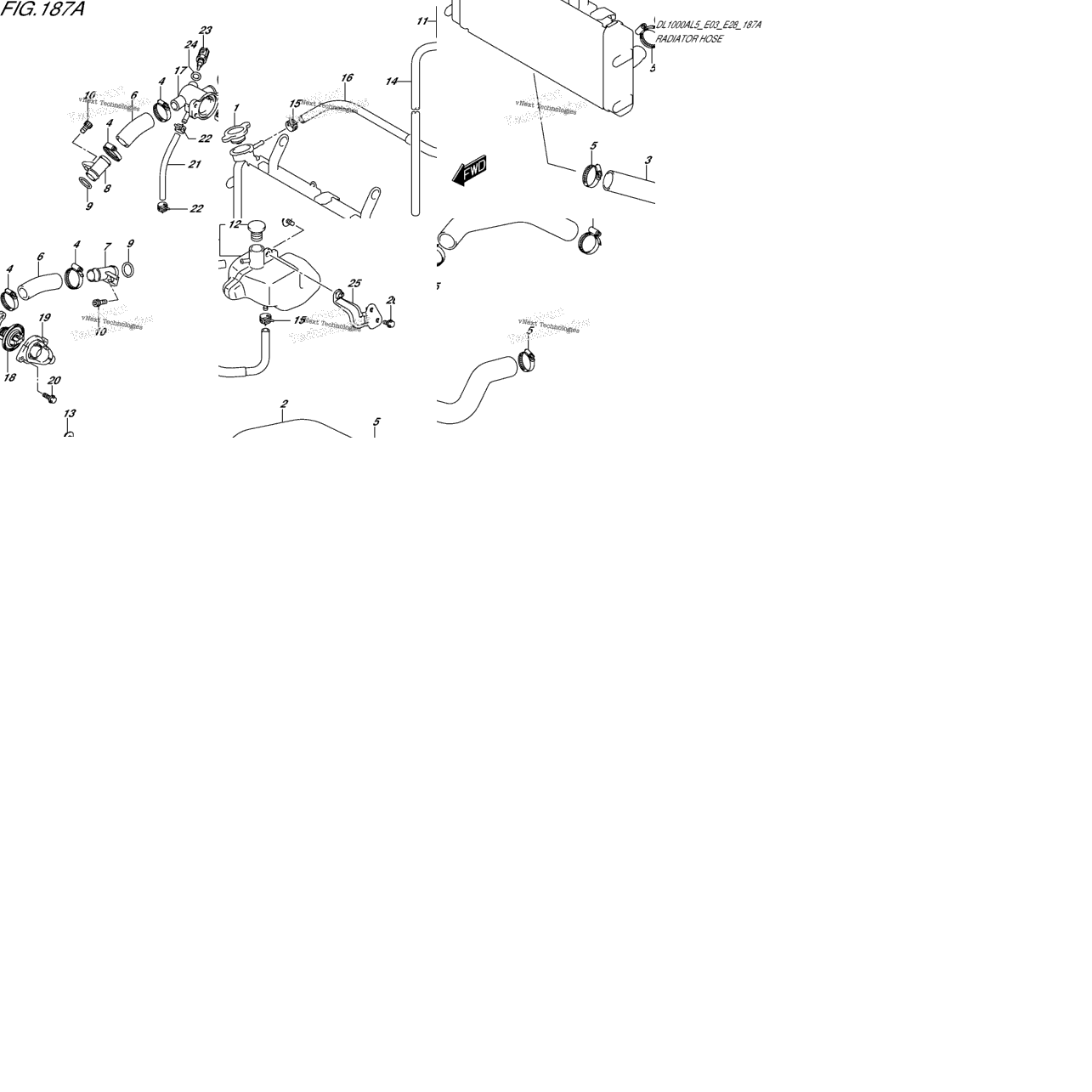 Radiator Hose
