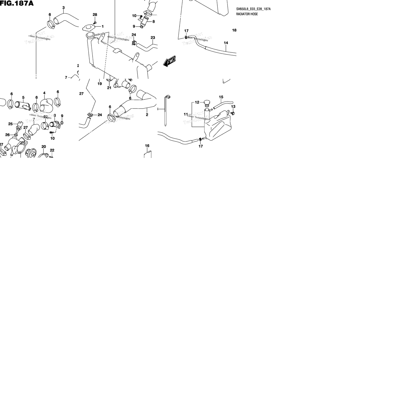 Radiator Hose