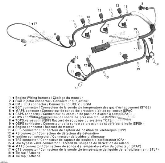 Engine Harness