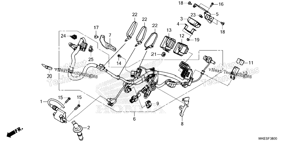 WIRE HARNESS