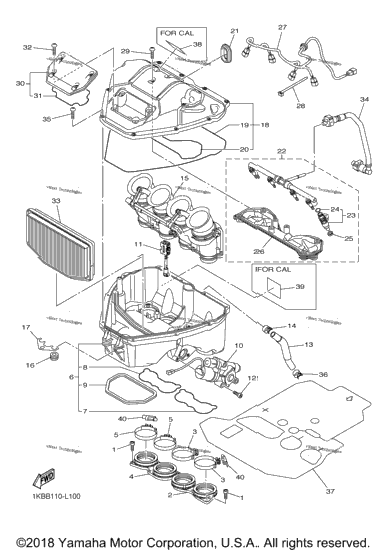 Intake
