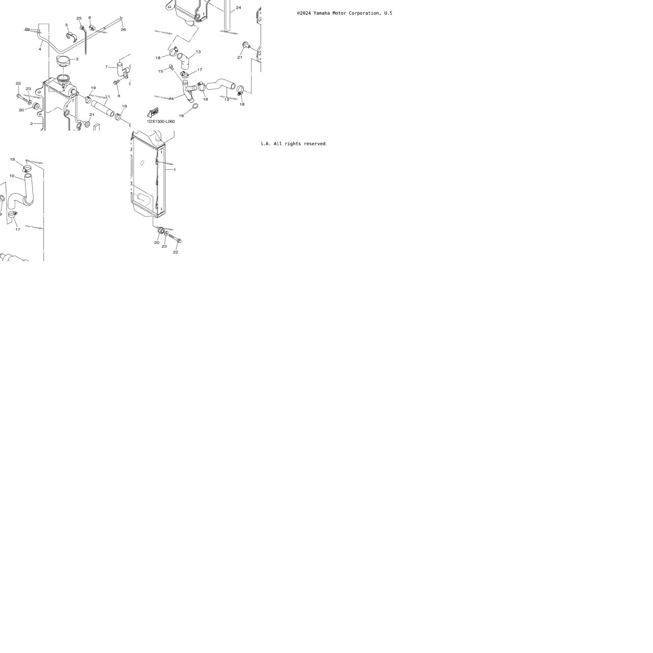 Radiator Hose