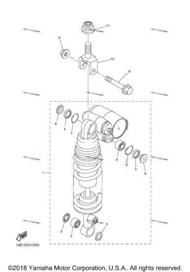 Rear Suspension