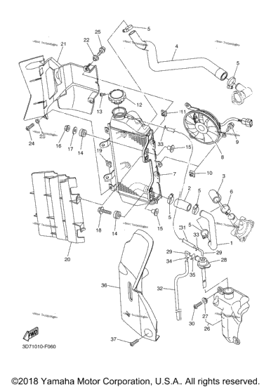 Radiator Hose