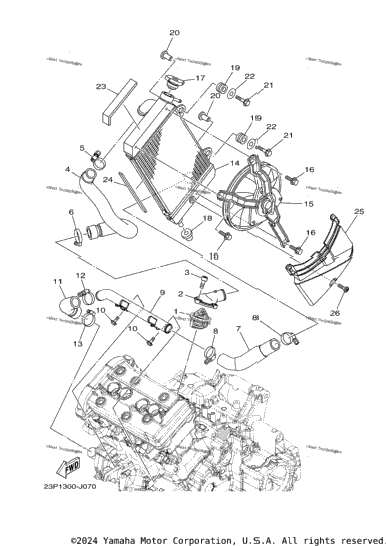 Radiator Hose