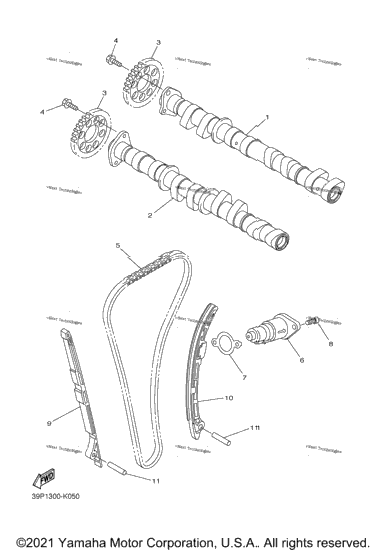 Camshaft Chain