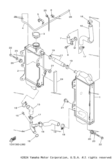 Radiator Hose