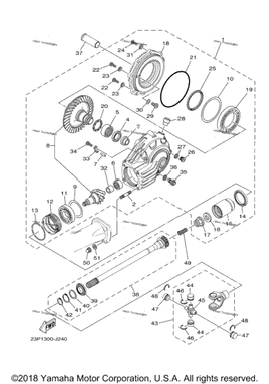 Drive Shaft