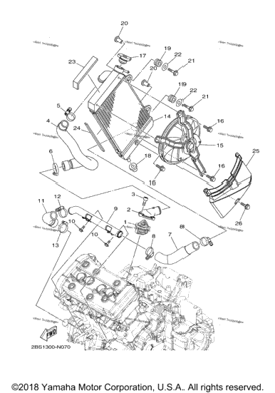 Radiator Hose