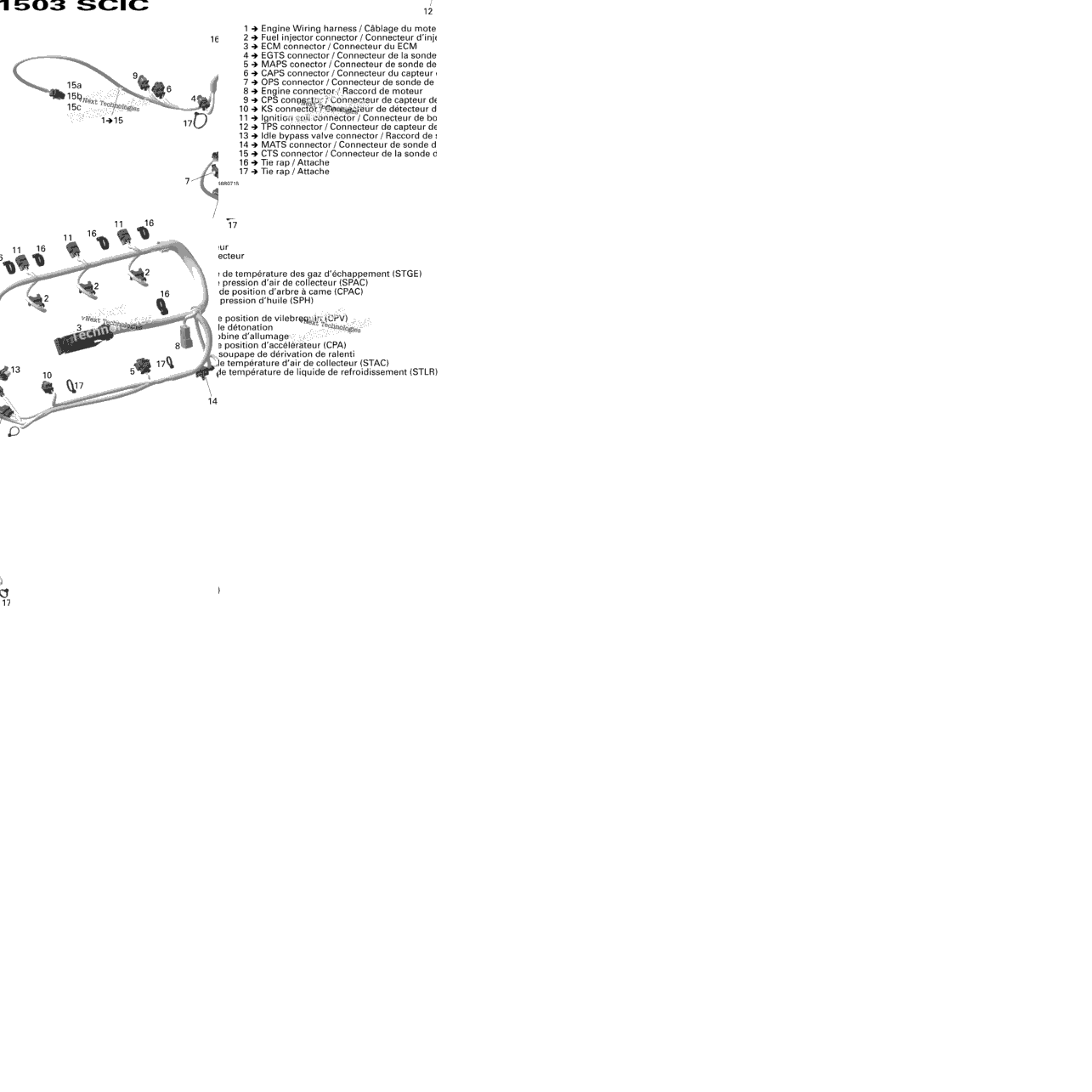 Engine Harness