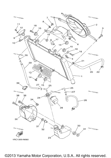 Radiator Hose