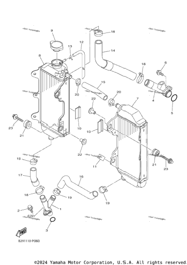 Radiator Hose