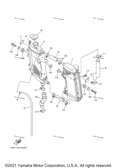 Radiator Hose