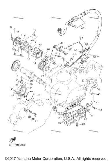 Oil Pump