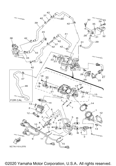 Intake
