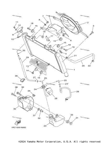 Radiator Hose