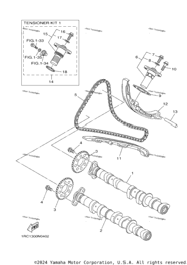 Camshaft Chain