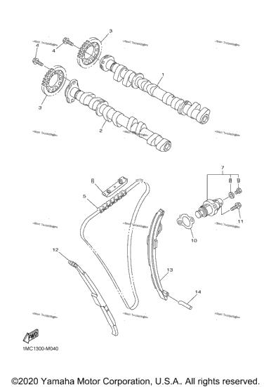 Camshaft Chain