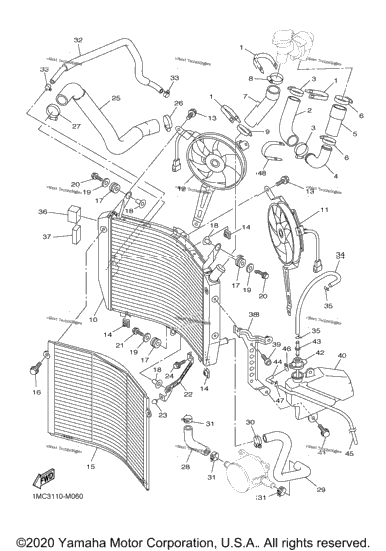 Radiator Hose