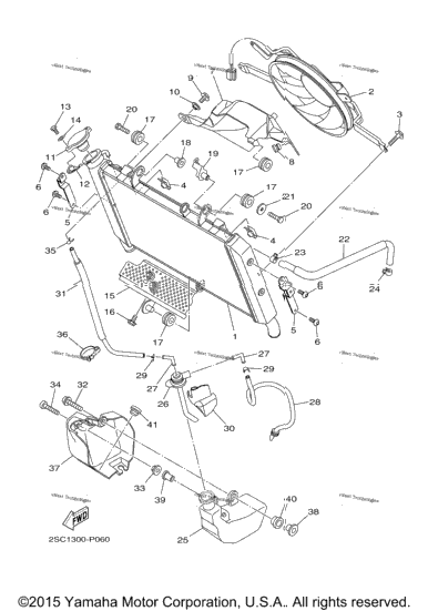 Radiator Hose