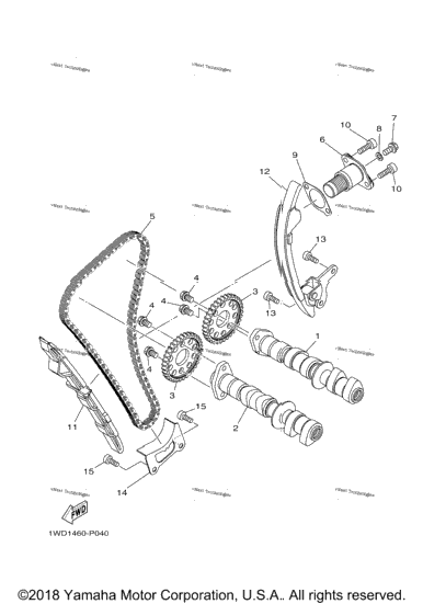 Camshaft Chain